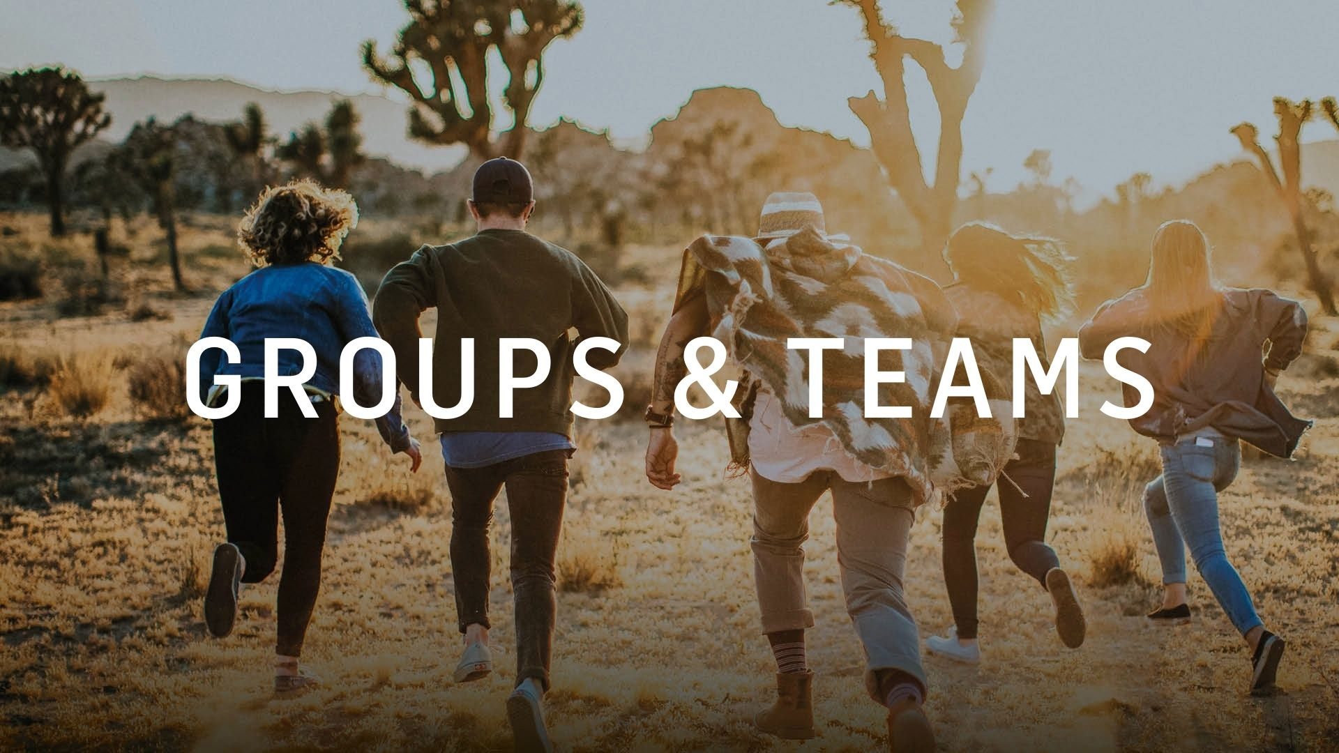 Groups 169 Slide ICF Karlsruhe